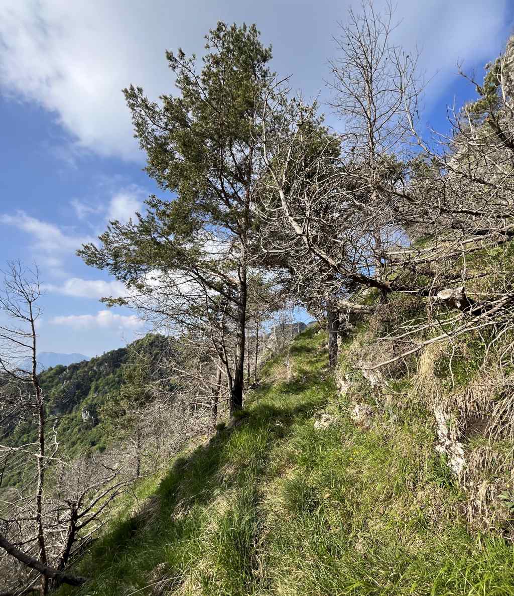 Bocca di Valle...Bondone (TN)